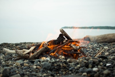 白天在灰色岩石海岸上燃放棕色柴火